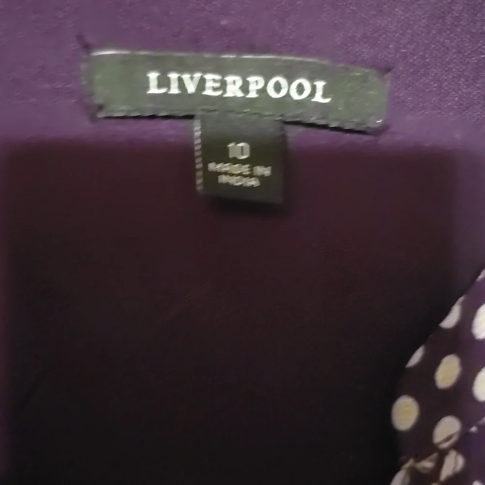LIVERPOOL Polka‎ Dot Dress Purple and White Boho Women's 10